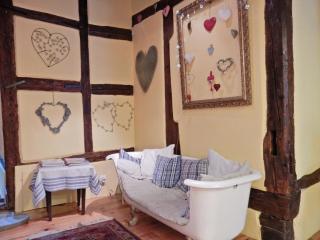 Apartment in Riquewihr near Vineyards, cleaning included - Riquewihr - 2