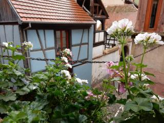 Apartment in Riquewihr near Vineyards, cleaning included - Riquewihr - 3