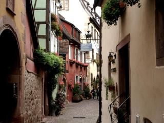 Apartment in Riquewihr with Terrace, cleaning included - Riquewihr - 3