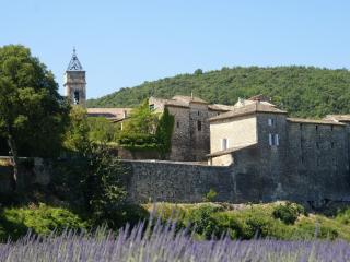 Holiday Home in Montclus by Lavender Fields, cleaning included - Montclus - 1