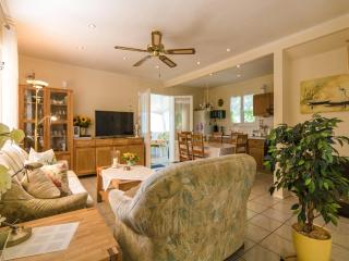 Bungalow near Dordogne with Pool and BBQ, cleaning included - Nadaillac-de-Rouge - 4