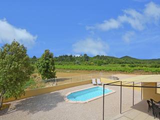 Elegant Villa Near Ardèche, cleaning included - Saint-Michel-d'Euzet - 1