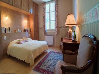 Villa in France with Pool and Vineyards, cleaning included - Puisserguier - 8