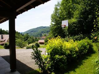 Holiday Home in Vosges with Garden and BBQ, cleaning included - Le Haut-du-Them - 8