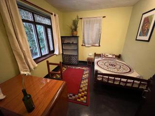 Room in Traditional Nepali house - Kathmandu - 3