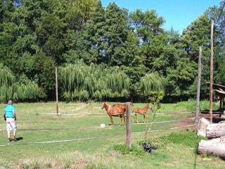 Holiday flat with shared pool in the countryside, Retournac, cleaning included - Retournac - 1