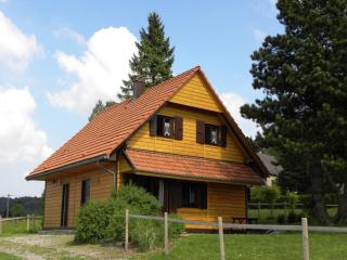 Large chalet with magnificent views, cleaning included - Dabo - 9
