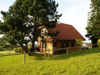 Large chalet with magnificent views, cleaning included - Dabo - 5