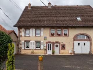 Holiday Home Niederviller near Château, cleaning included - Niderviller - 9
