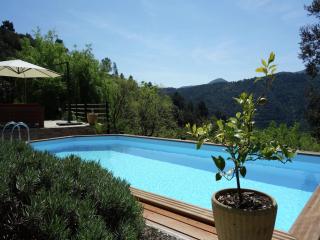 Modern holiday home with swimming pool, cleaning included - Dunières-sur-Eyrieux - 7