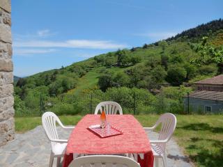 Attractive holiday home with beautiful view, cleaning included - Saint-Julien-du-Gua - 5