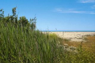 Apartment in Ghisonaccia near Sandy Beach, cleaning included - Ghisonaccia - 8