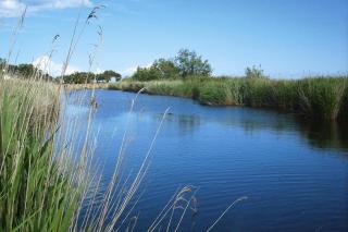 Apartment in Ghisonaccia near Sandy Beach, cleaning included - Ghisonaccia - 5