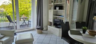 Seeschwalbe - - 8