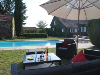 Mansion in Charrin by Loire with Pool, cleaning included - Charrin - 5