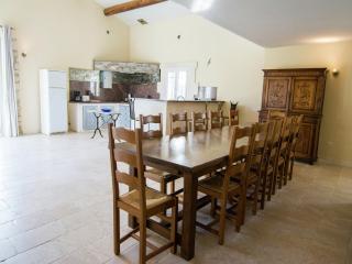 Vineyard Villa in Montfrin, cleaning included - Montfrin - 8