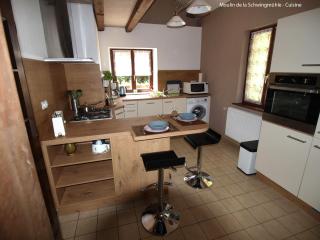Holiday Home in Vosges Nature Park, cleaning included - Hanviller - 8
