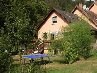 Holiday Home in Vosges Nature Park, cleaning included - Hanviller - 9