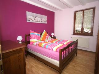 Holiday Home in Vosges Nature Park, cleaning included - Hanviller - 2