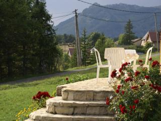 Apartment with mountain views, cleaning included - Lus-la-Croix-Haute - 7