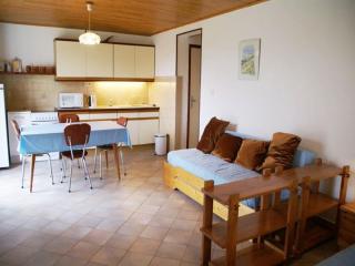 Apartment with mountain views, cleaning included - Lus-la-Croix-Haute - 1