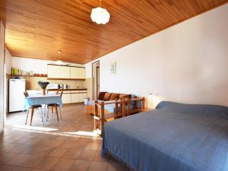 Apartment with mountain views, cleaning included - Lus-la-Croix-Haute - 3