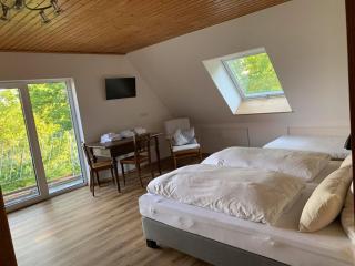 Villa Thea in the Rhön - Kilianshof - 4