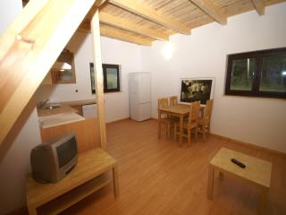 Chalet in Dabo near Castle Ruins, cleaning included - La Hoube - 6