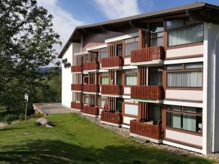 Schluchseestube 3309 - Schluchsee - 0
