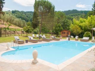 Family Villa close to Beaches and Lucca - Camaiore - 9