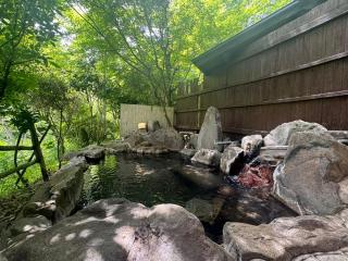 山川温泉 小杉庵 - Oguni - 8