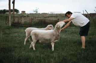 Farm Stay Tiny House by Tiny Away - 4
