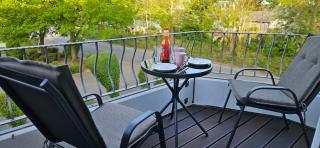 Seeschwalbe - - 2