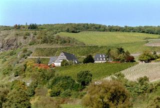 Gut Hermannsberg, Gästehaus - Niederhausen - 8