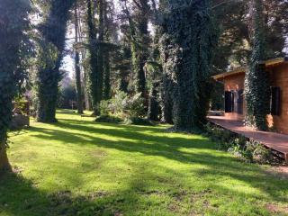 Cabaña Pehuen, Bosque Peralta Ramos, Mar del Plata - 7