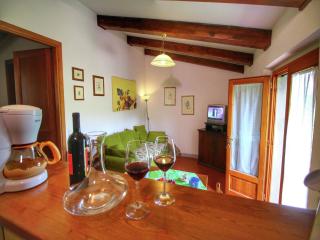 Farmhouse in Bucine near Siena, cleaning included - Bucine - 0