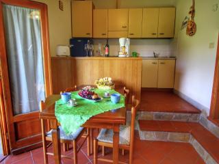 Farmhouse in Bucine near Siena, cleaning included - Bucine - 8