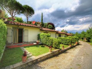 Farmhouse in Bucine near Siena, cleaning included - Bucine - 9