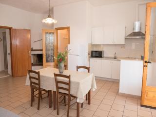 Apartment in Vieste, a drive away from the sea - Vieste - 8