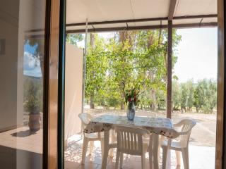 Apartment in Vieste, a drive away from the sea - Vieste - 6