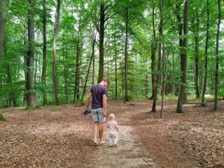 Nice tent lodge on a campsite, cleaning included - Medernach - 5
