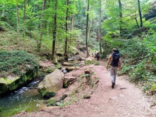 Nice tent lodge on a campsite, cleaning included - Medernach - 3