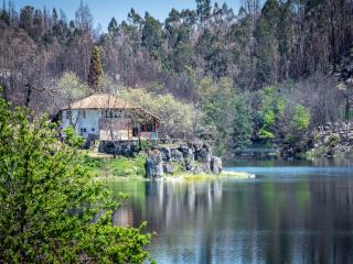 Mansion in Dão Valley by River Beach, cleaning included - Treixedo - 0