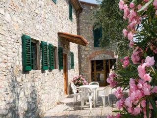 Farmhouse in San Baronto with Pool & Olive Groves, cleaning included - Quarrata - 5