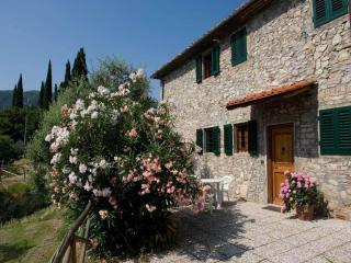 Farmhouse in San Baronto with Pool & Olive Groves, cleaning included - Quarrata - 4