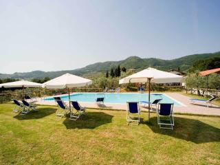 Farmhouse in San Baronto with Pool & Olive Groves, cleaning included - Quarrata - 6
