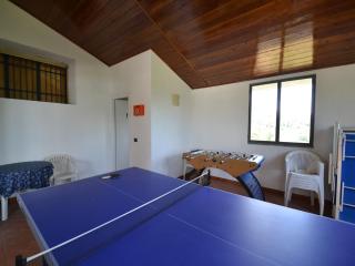 Farmhouse in San Baronto with Pool & Olive Groves, cleaning included - Quarrata - 8