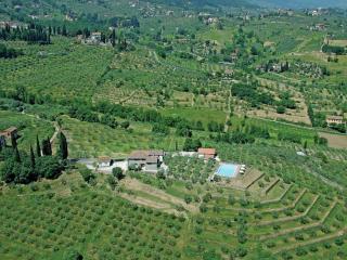 Farmhouse in San Baronto with Pool & Olive Groves, cleaning included - Quarrata - 1