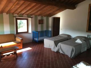 Farmhouse in Pisa with Pool & Barbecue, cleaning included - Chianni - 6