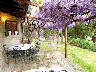 Cottage in Tuscany near Arezzo and Anghiari, cleaning included - Anghiari - 5